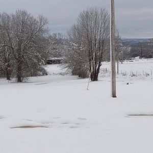 Meet your Posher, Corine